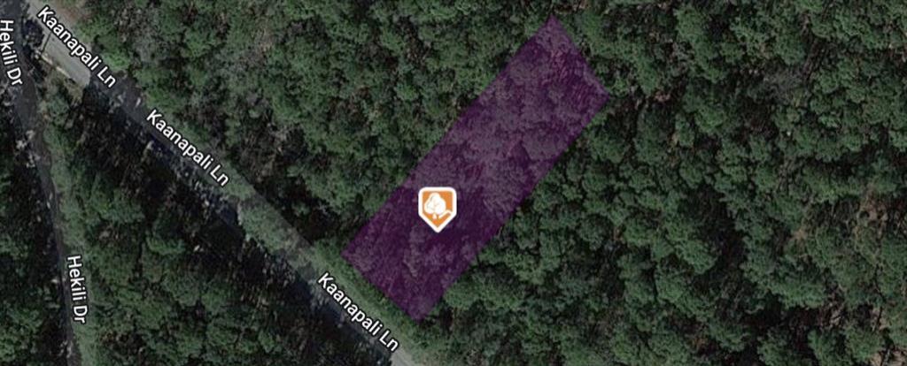 MLS #7745950 image #6