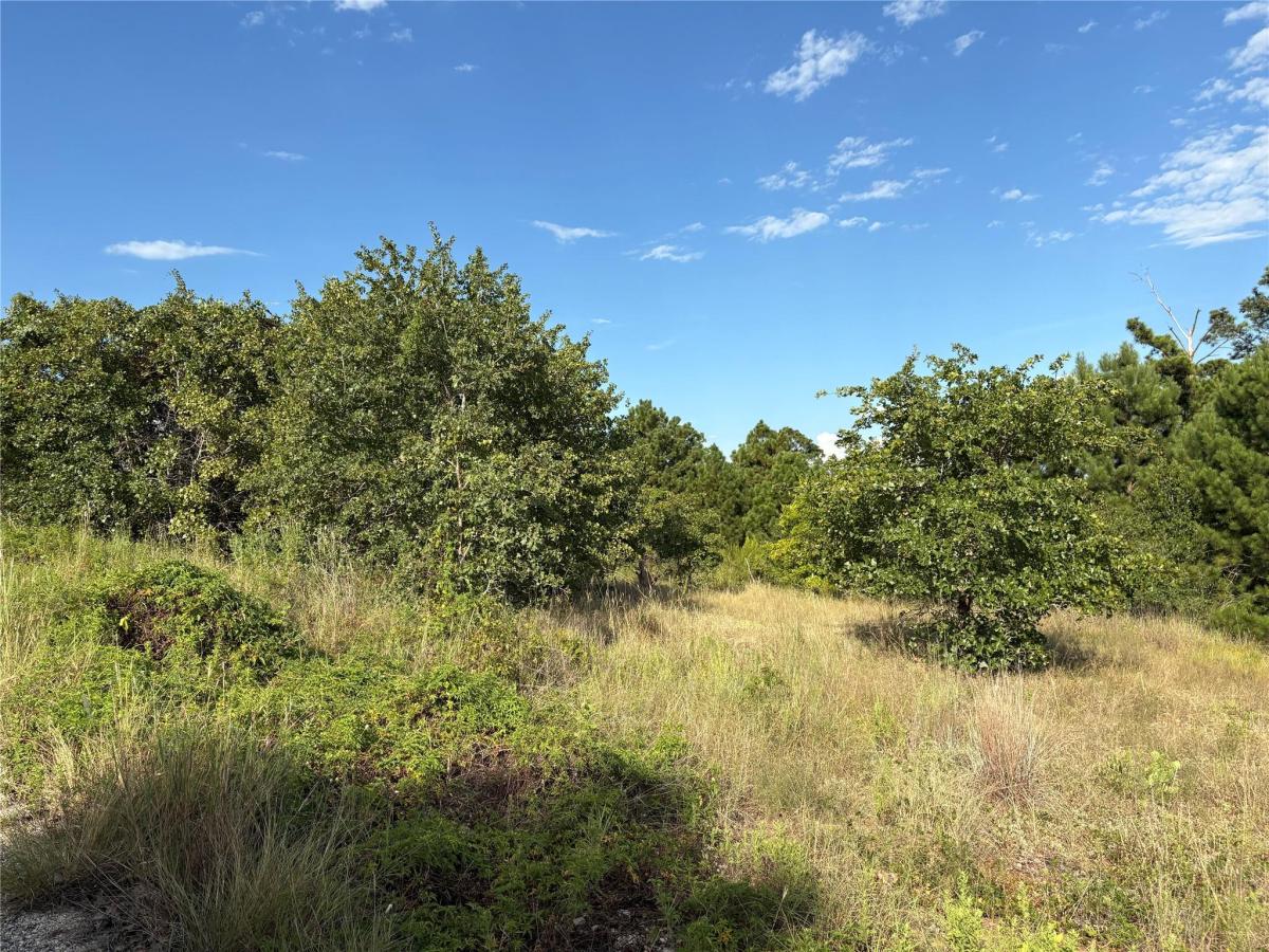 MLS #7819517 image #0