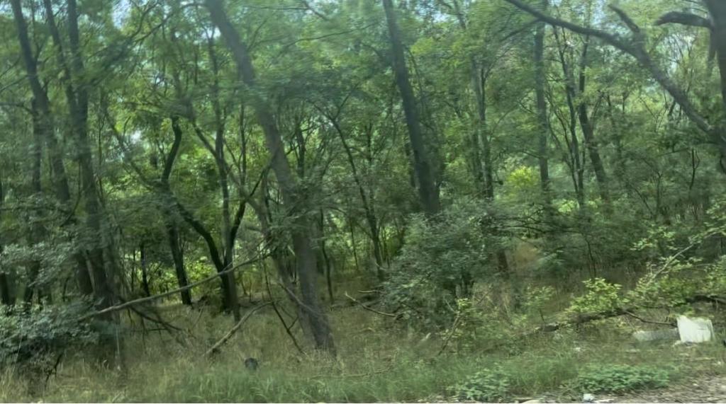 MLS #7887307 image #0