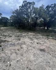MLS #7901834 image #0