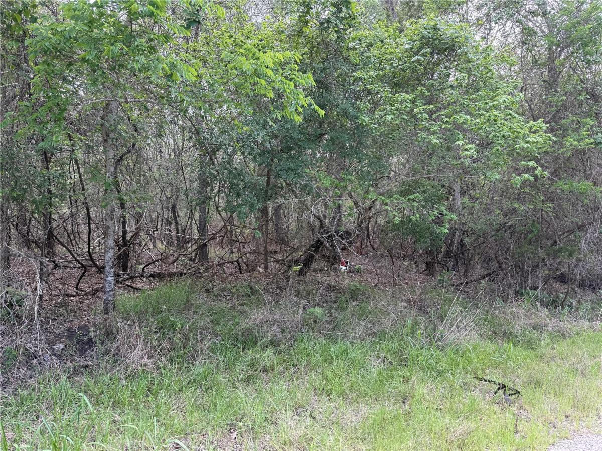 MLS #8187570 image #0