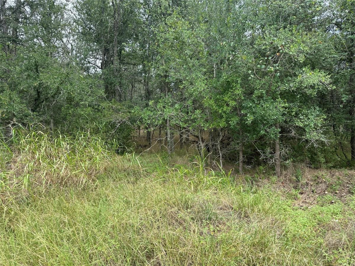 MLS #8256039 image #0