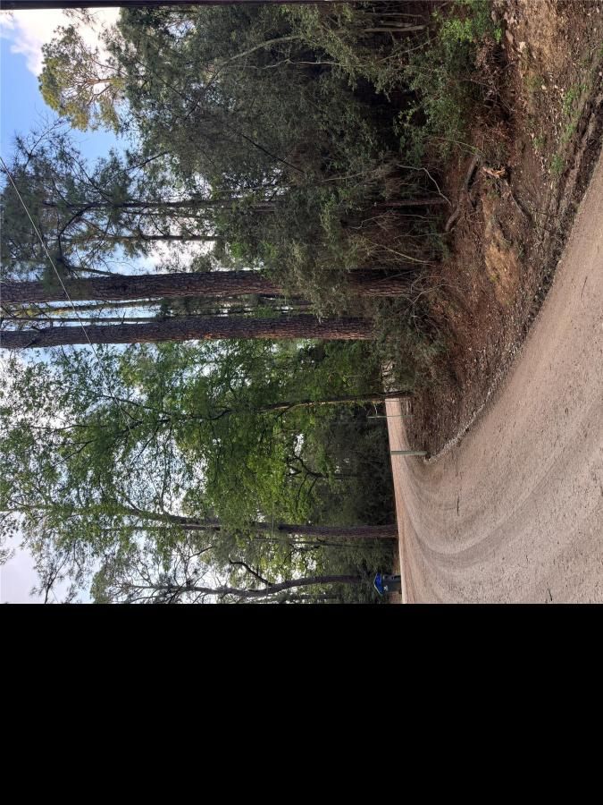 MLS #8272141 image #0