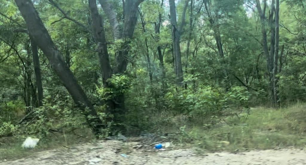 MLS #8319319 image #0