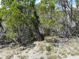 MLS #8363636 image #0