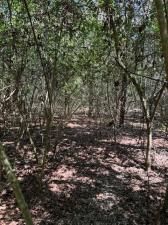 MLS #8384235 image #0