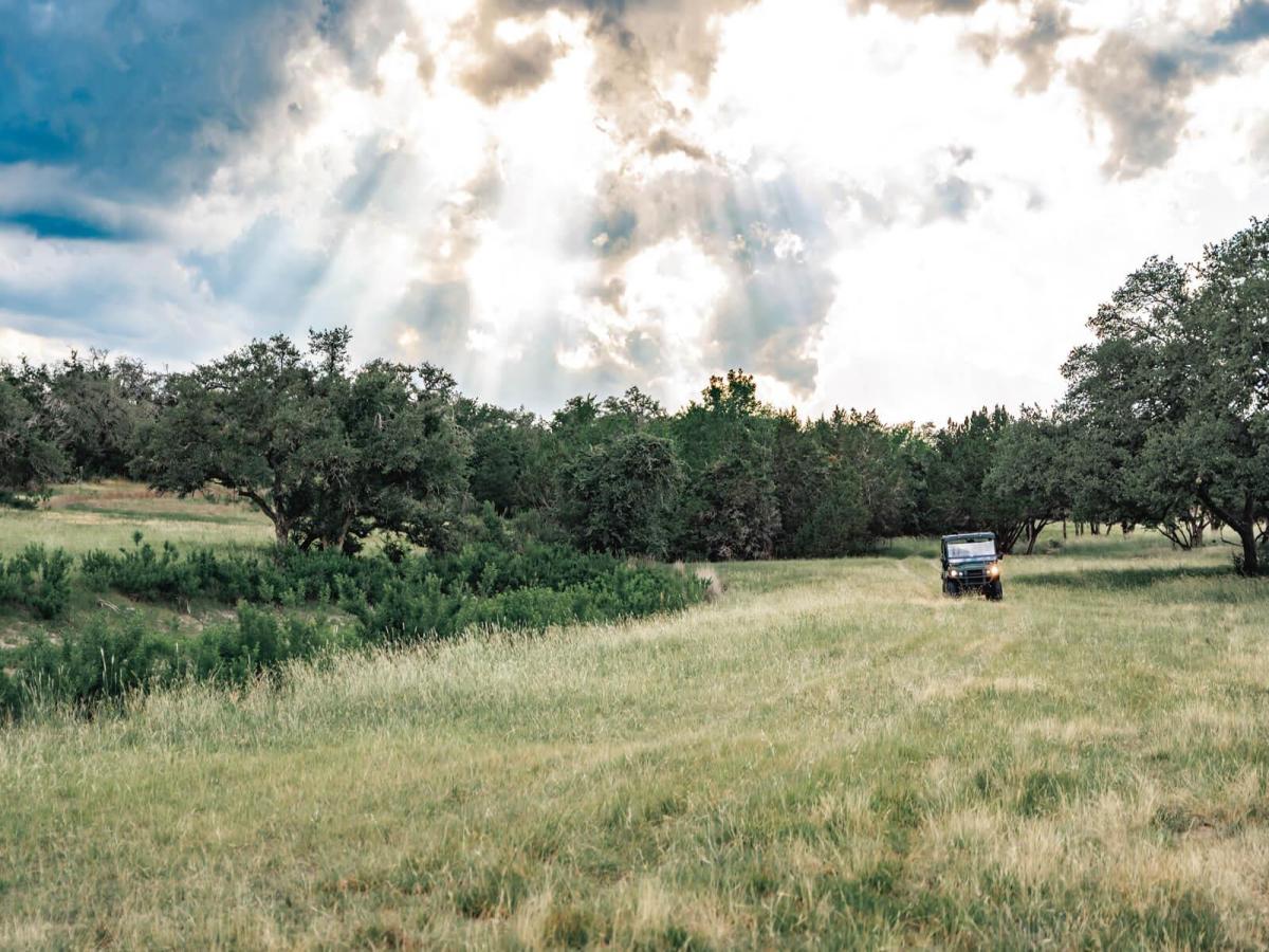 MLS #8512738 image #0