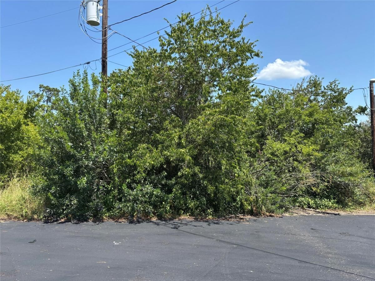 MLS #8728747 image #0