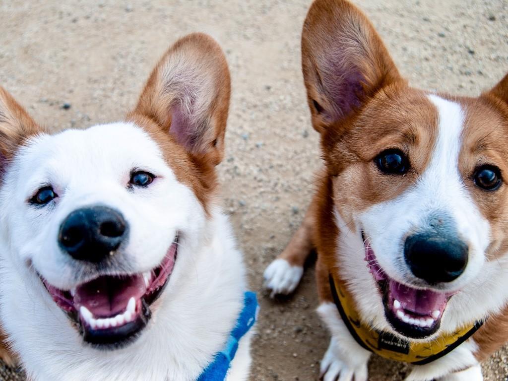 MLS #9040062 image #34