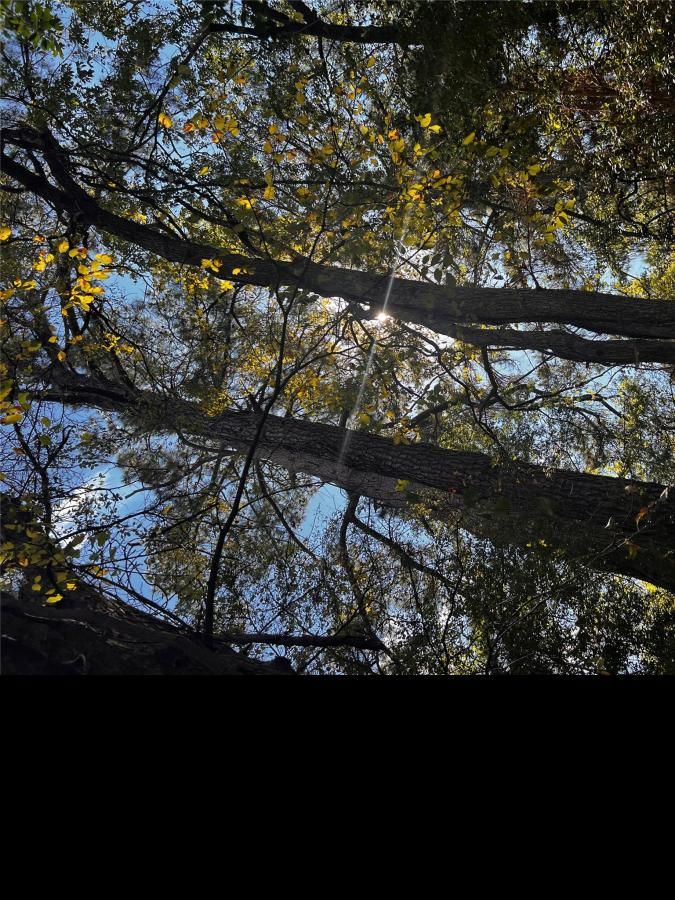 MLS #9048603 image #0