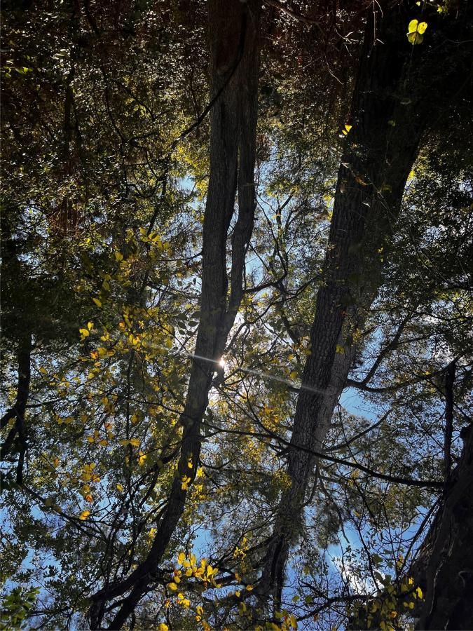 MLS #9048603 image #0