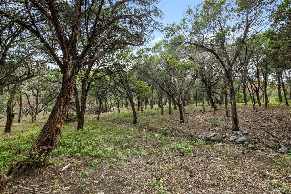 MLS #9121900 image #15