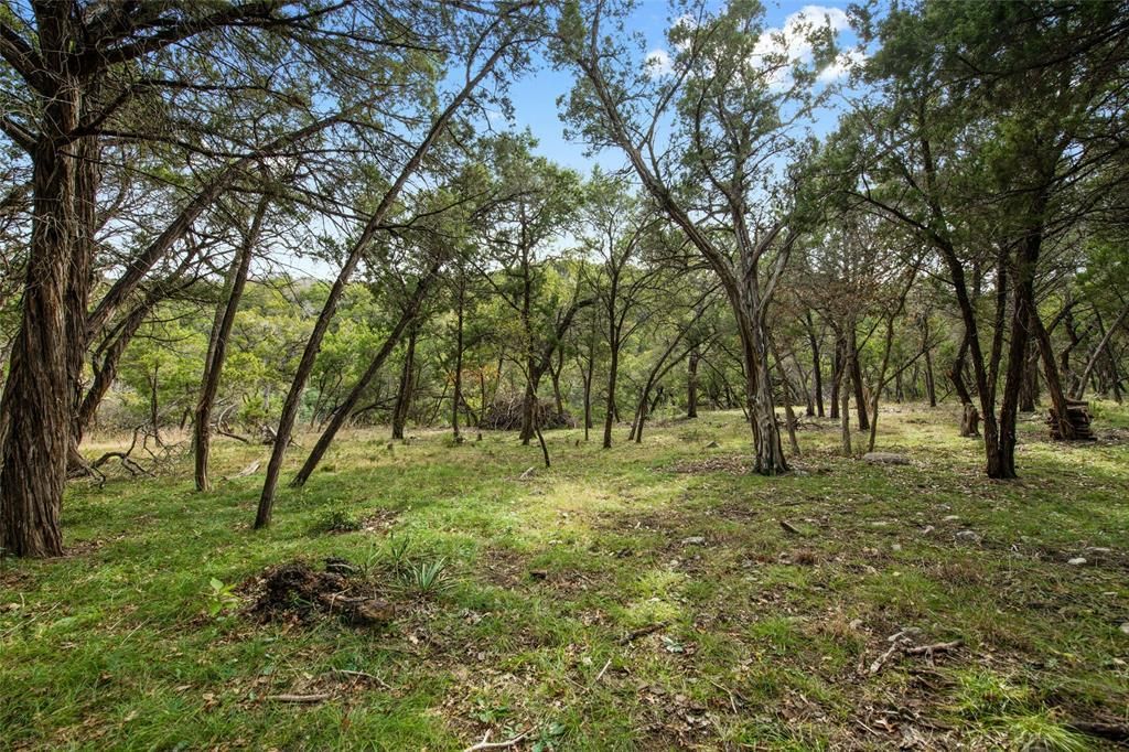 MLS #9121900 image #7