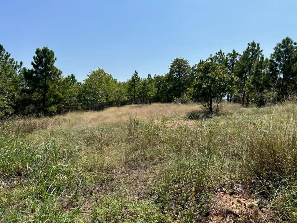 MLS #9514502 image #0