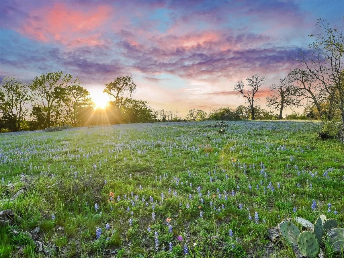 MLS #9601660 image #0