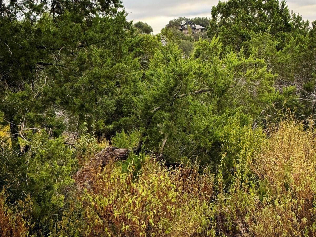 MLS #9632691 image #0