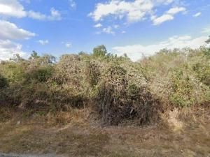 MLS #9845970 image #0