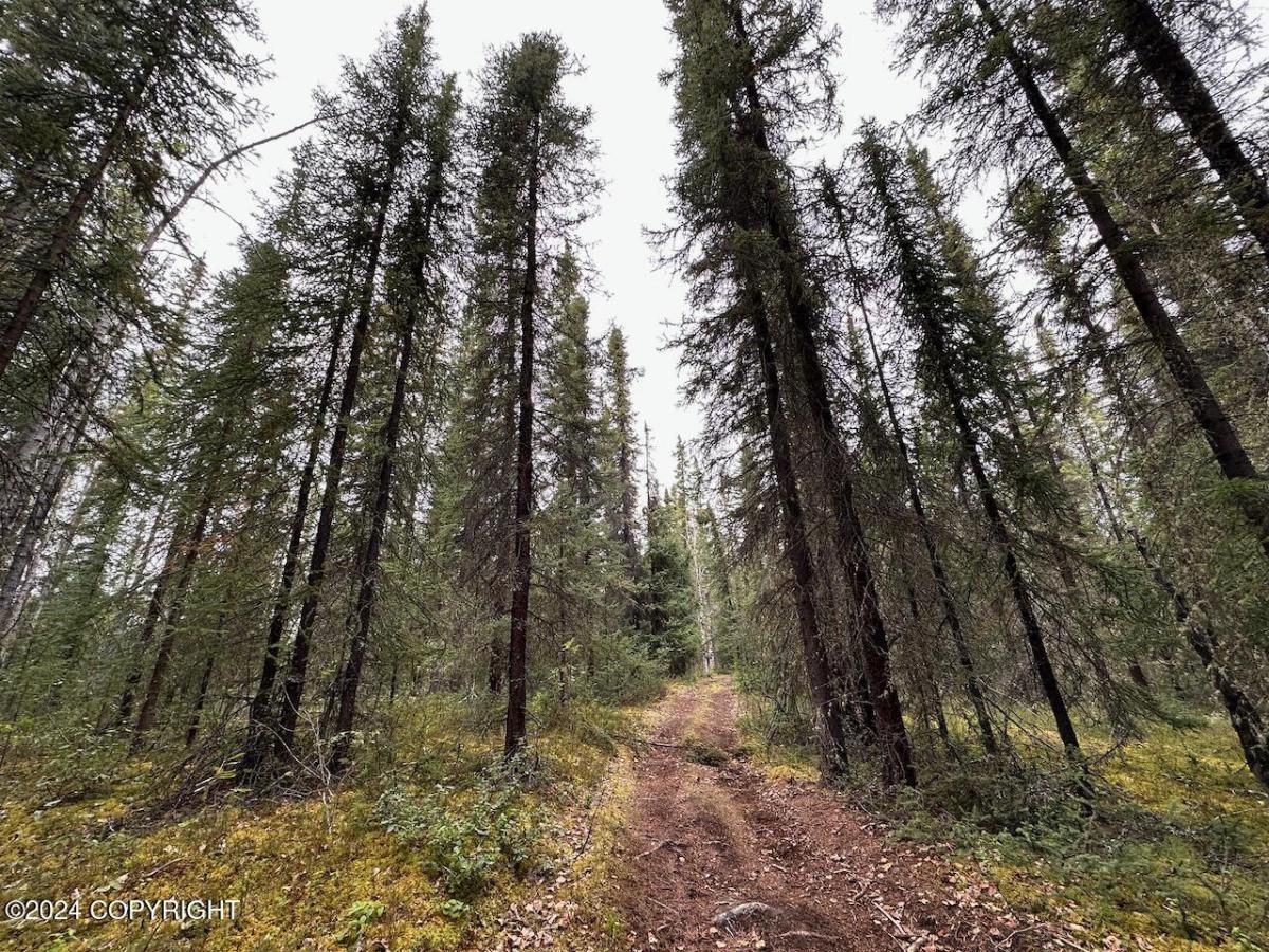 MLS #24-13639 image #0