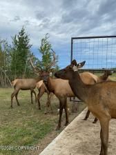 MLS #24-9877 image #0