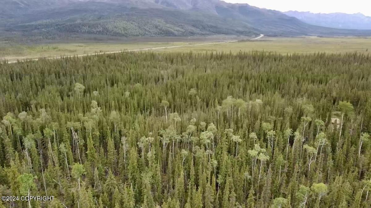 MLS #25-10159 image #0