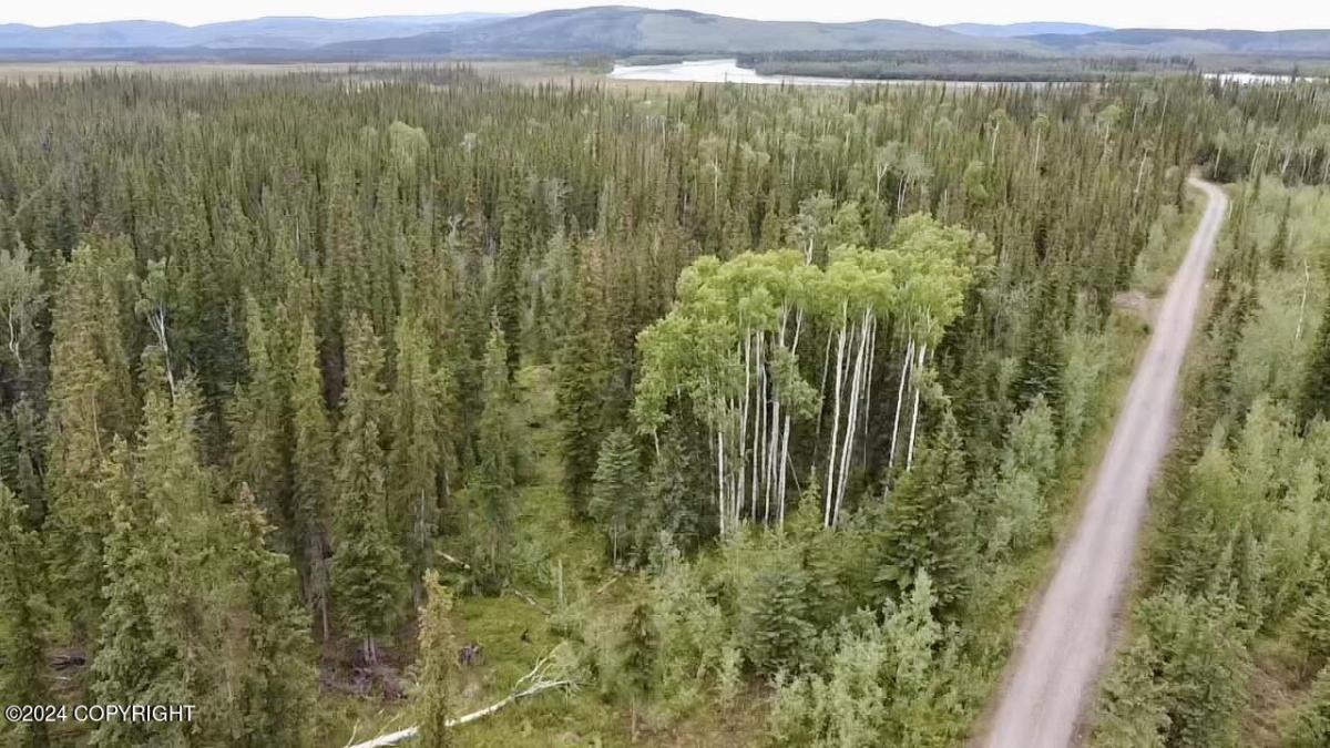 MLS #25-10160 image #0