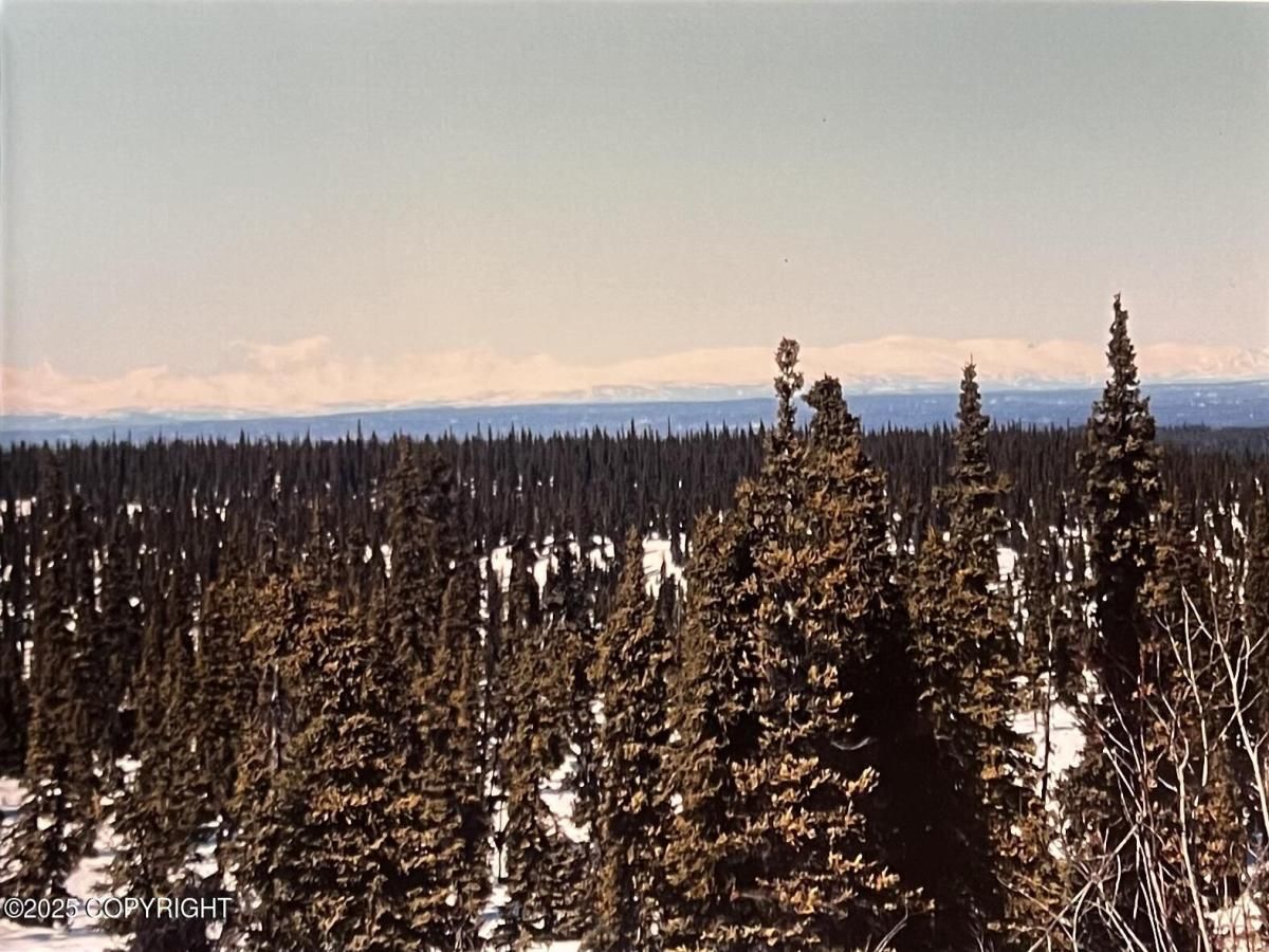 MLS #25-10350 image #0