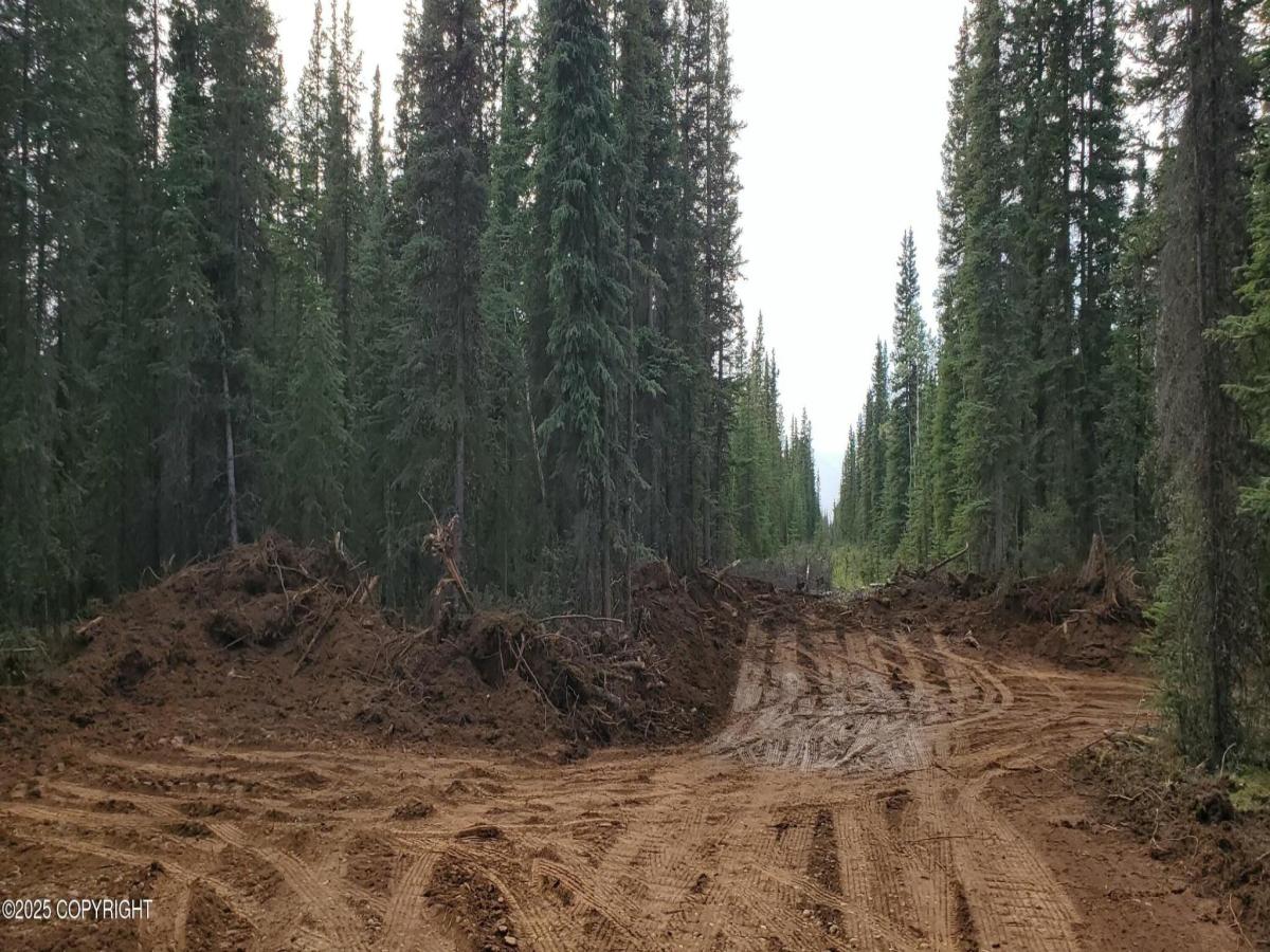 MLS #25-1261 image #0