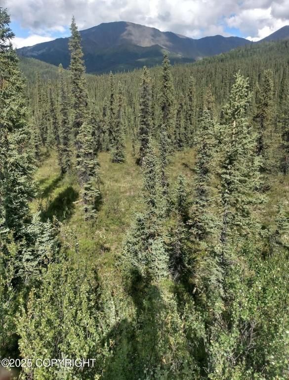 MLS #25-12975 image #0