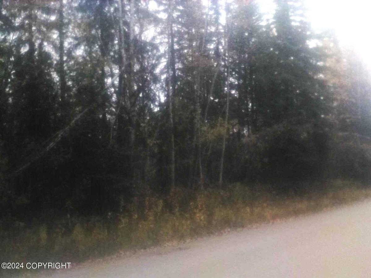 MLS #25-9511 image #0