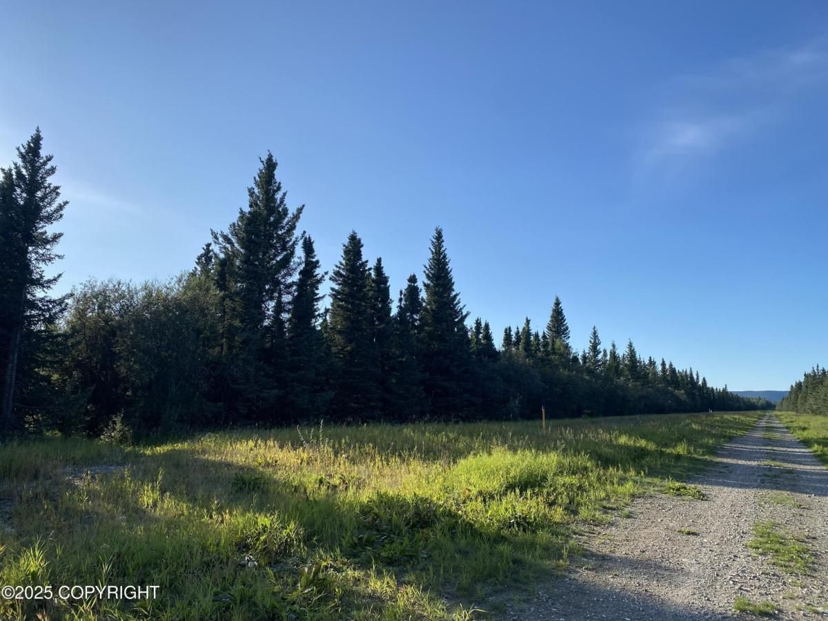 MLS #25-9964 image #0