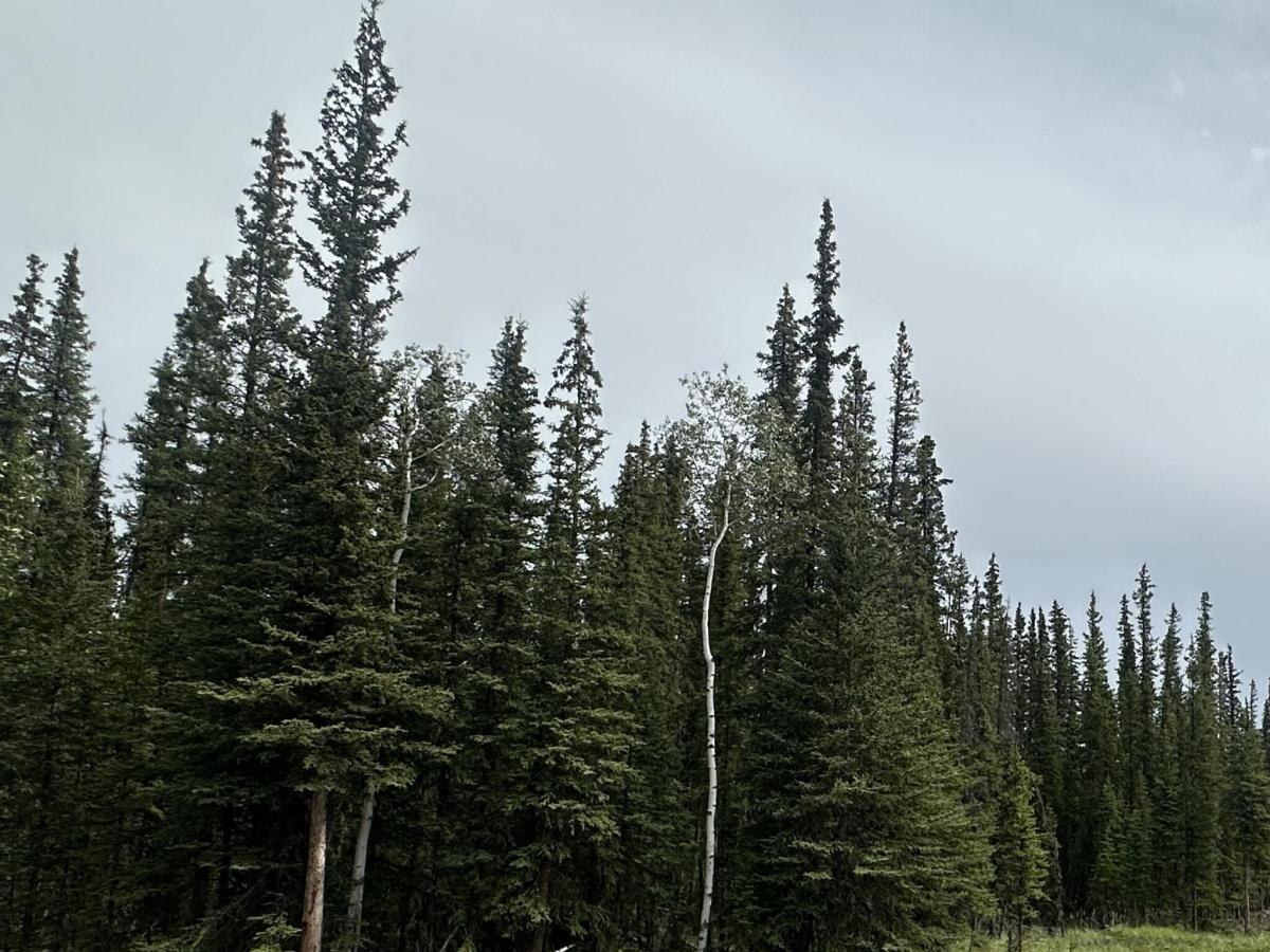 MLS #26-10236 image #0