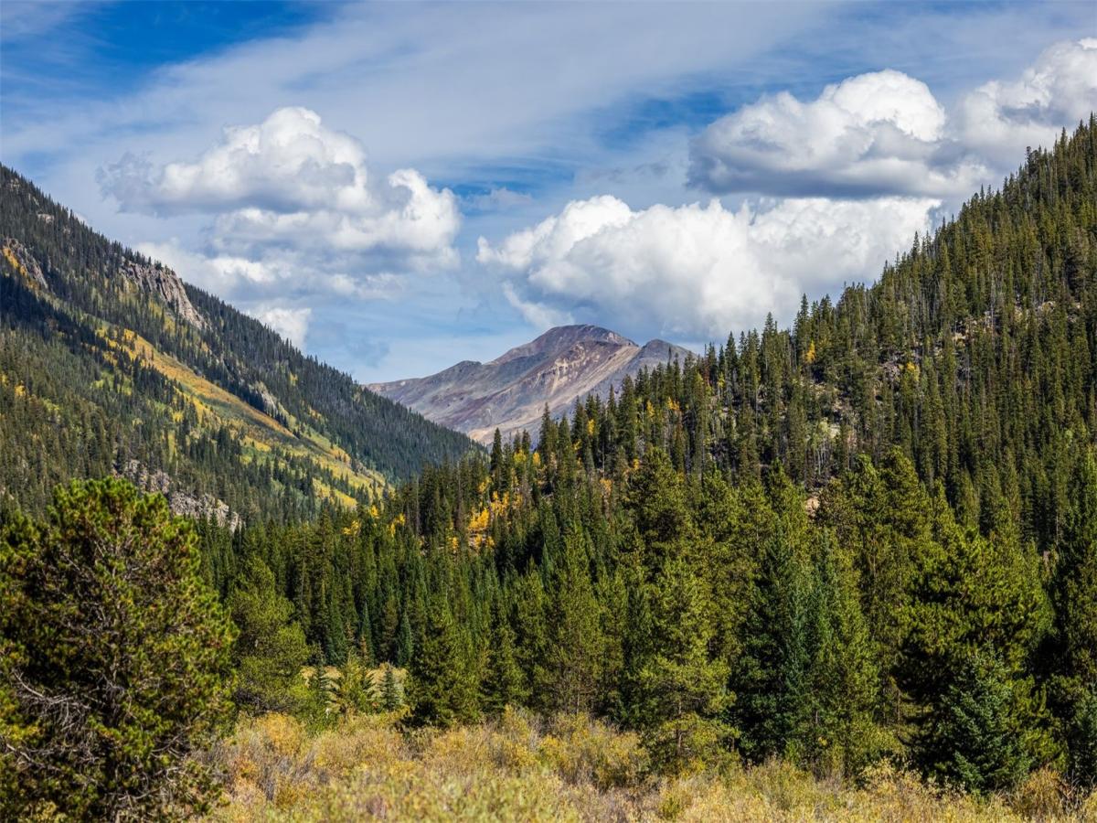 MLS #S1055617 image #0