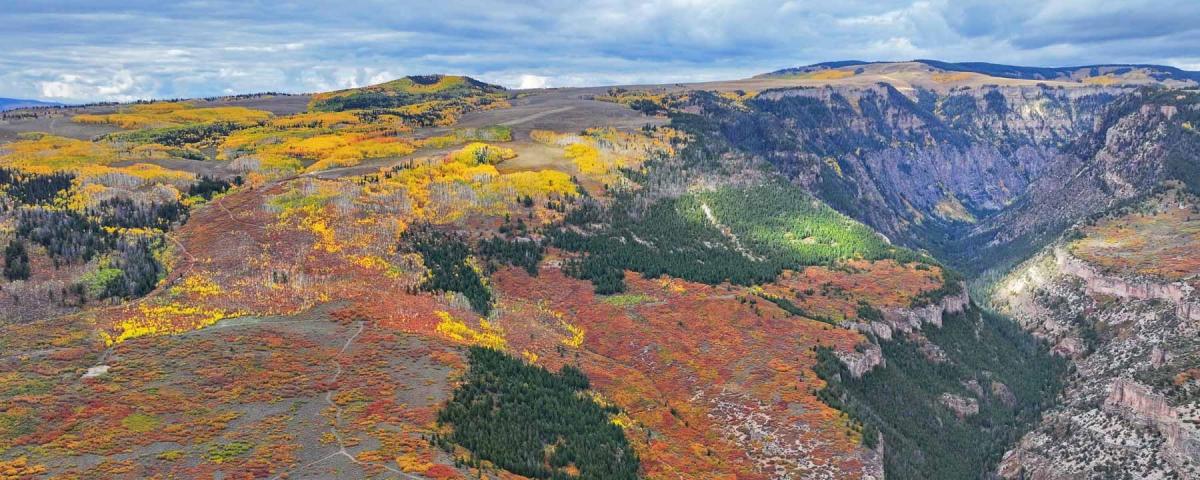 MLS #S1062641 image #0