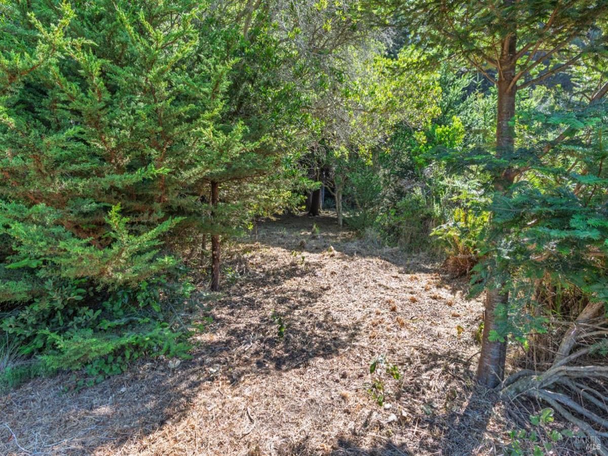 MLS #321071784 image #0