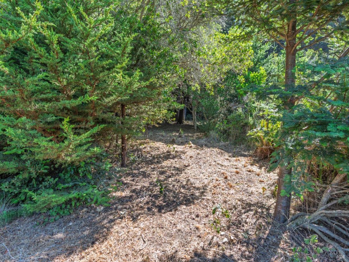 MLS #321071784 image #0
