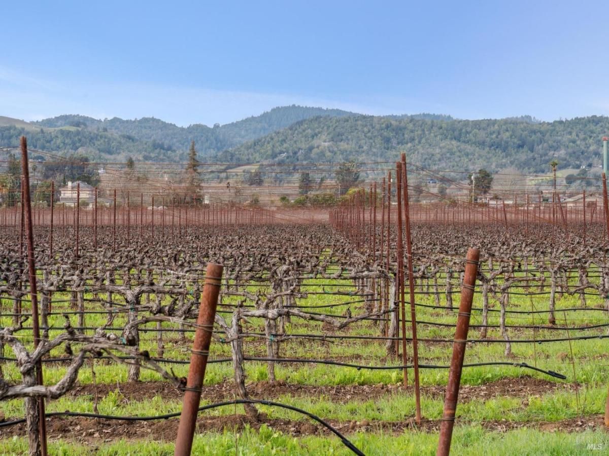 MLS #325008785 image #0