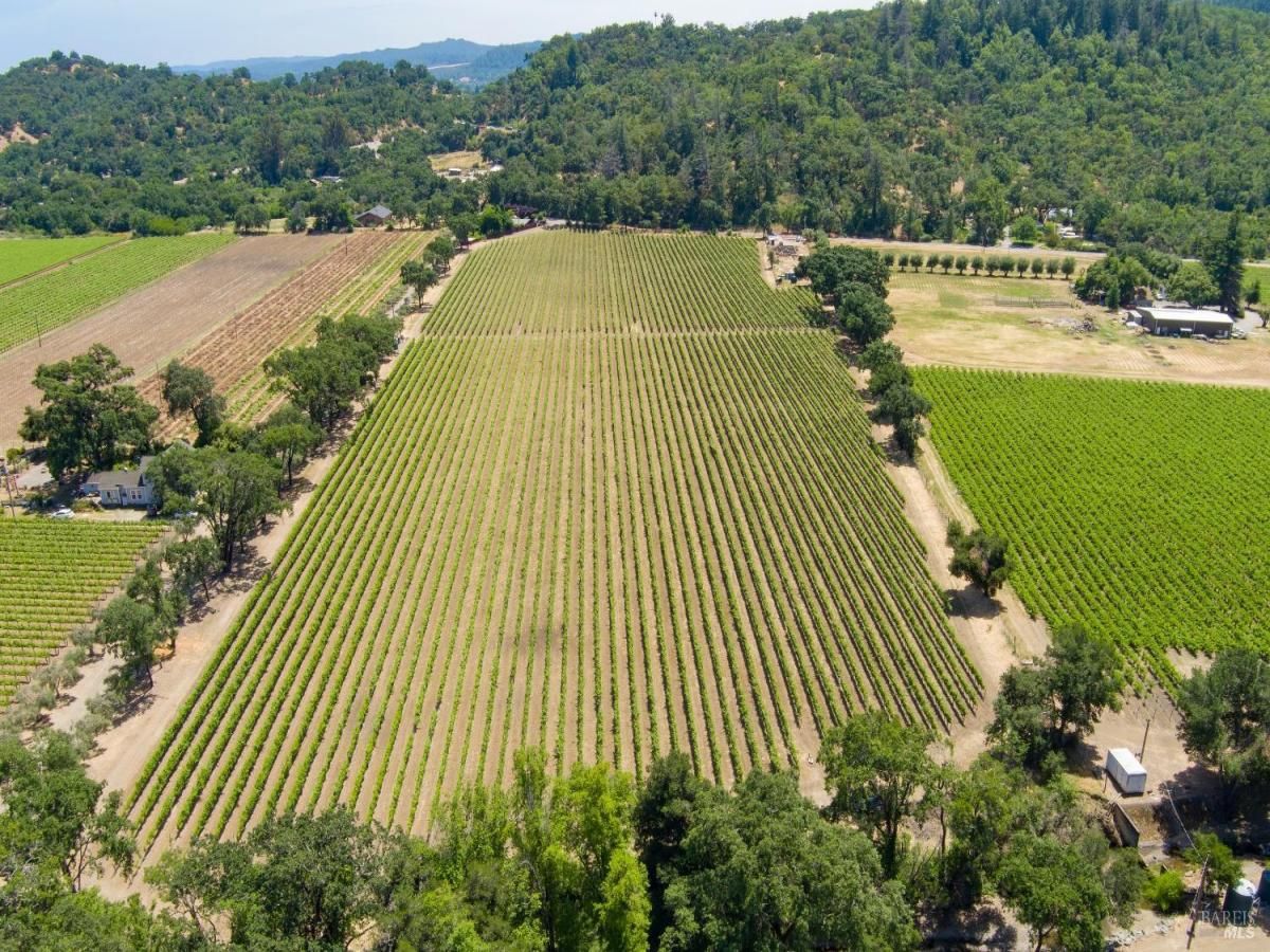 MLS #325022731 image #0