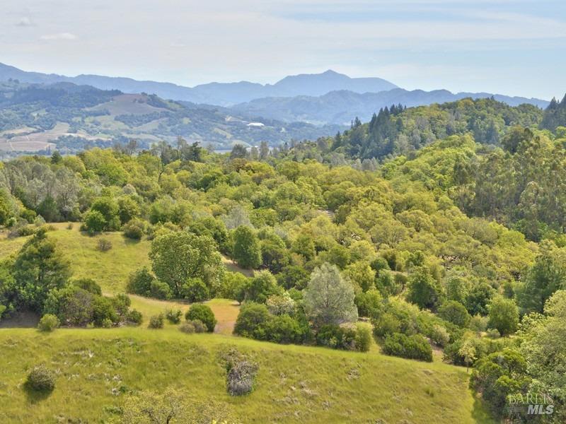 MLS #325030618 image #0