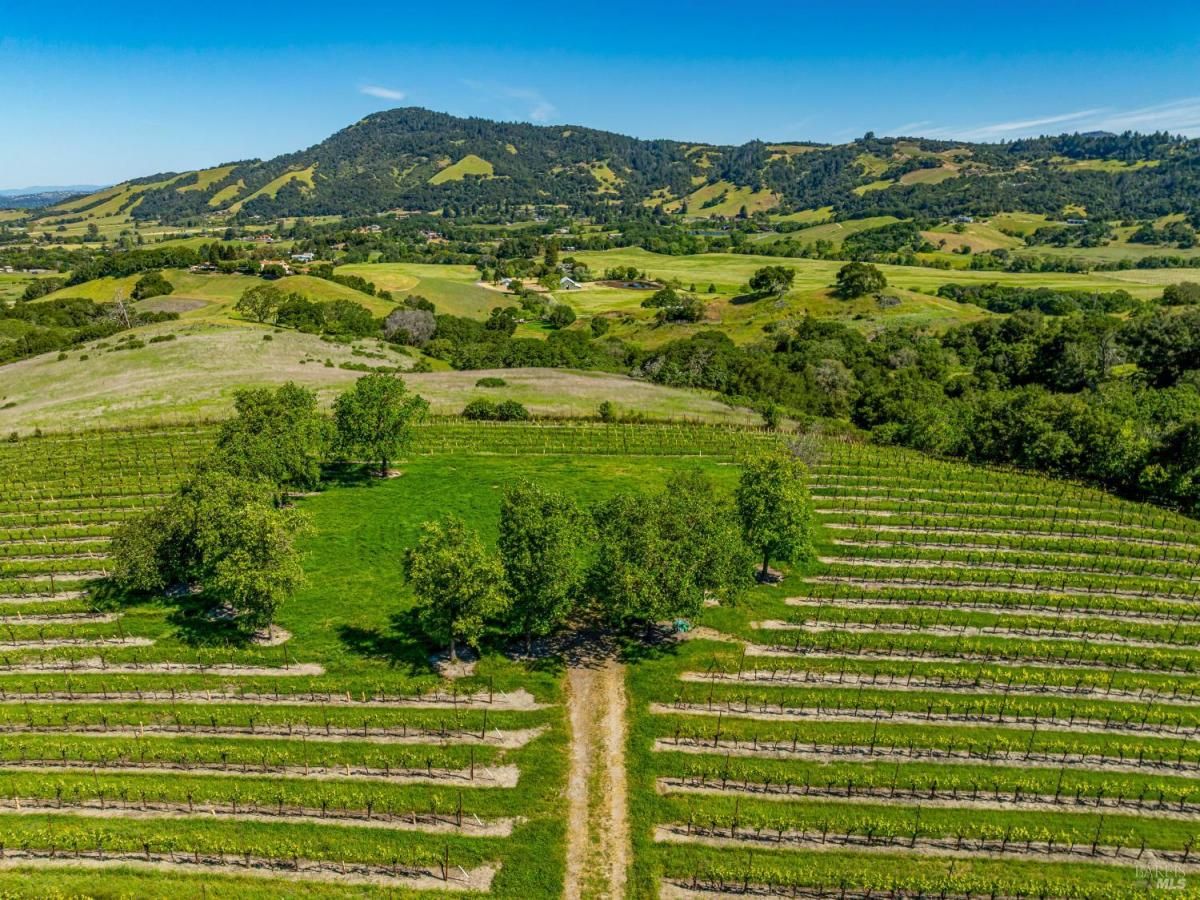 MLS #325044270 image #0