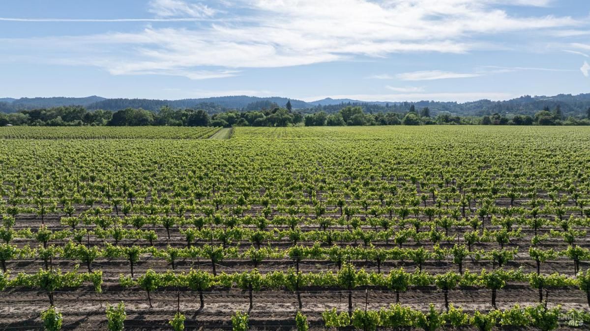 MLS #325047831 image #0