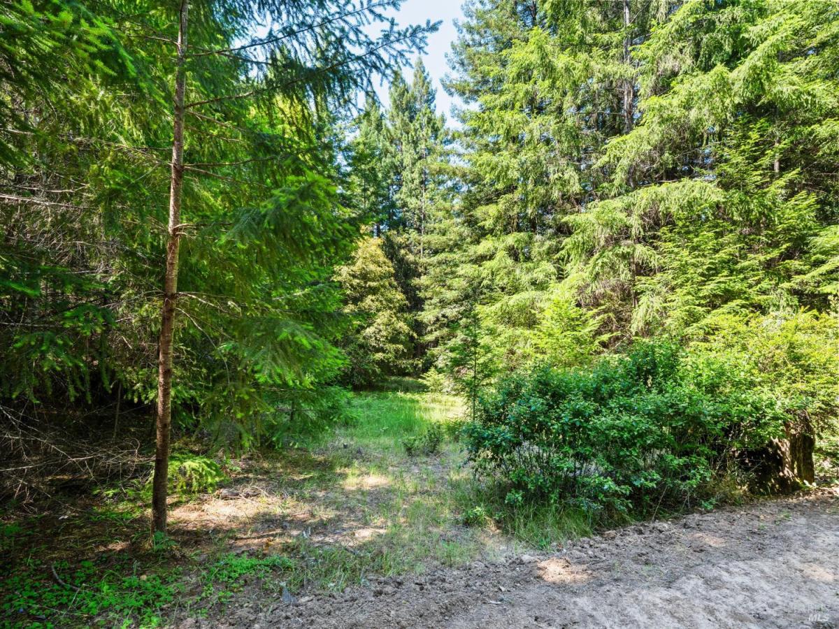 MLS #325056060 image #0