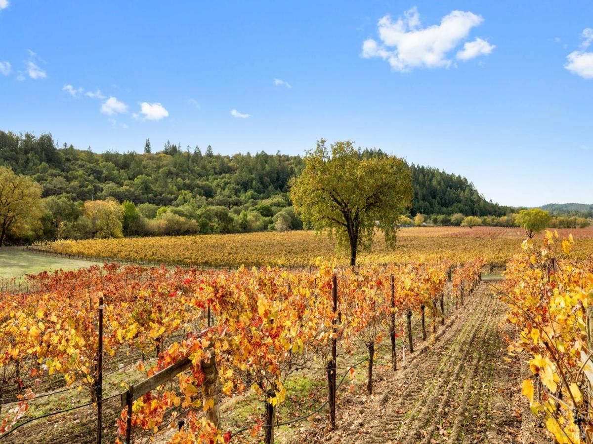 MLS #325058639 image #0