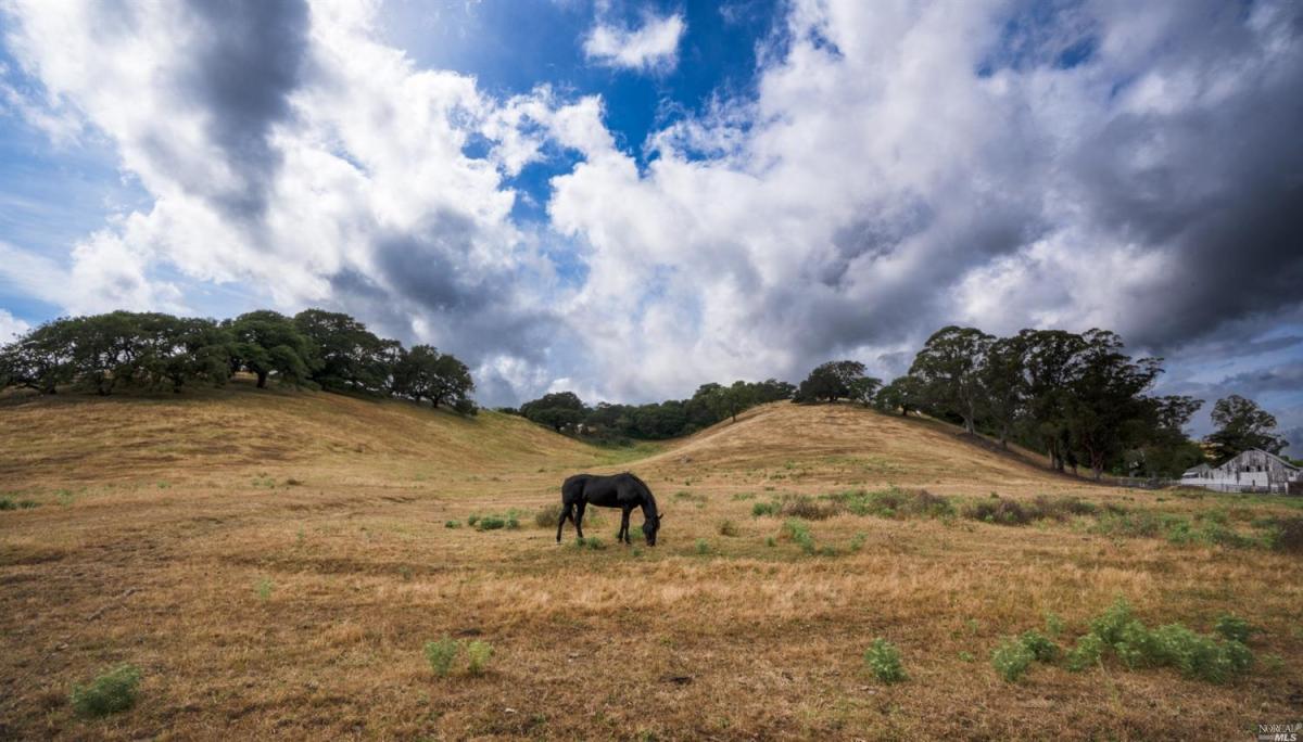 MLS #325063263 image #0