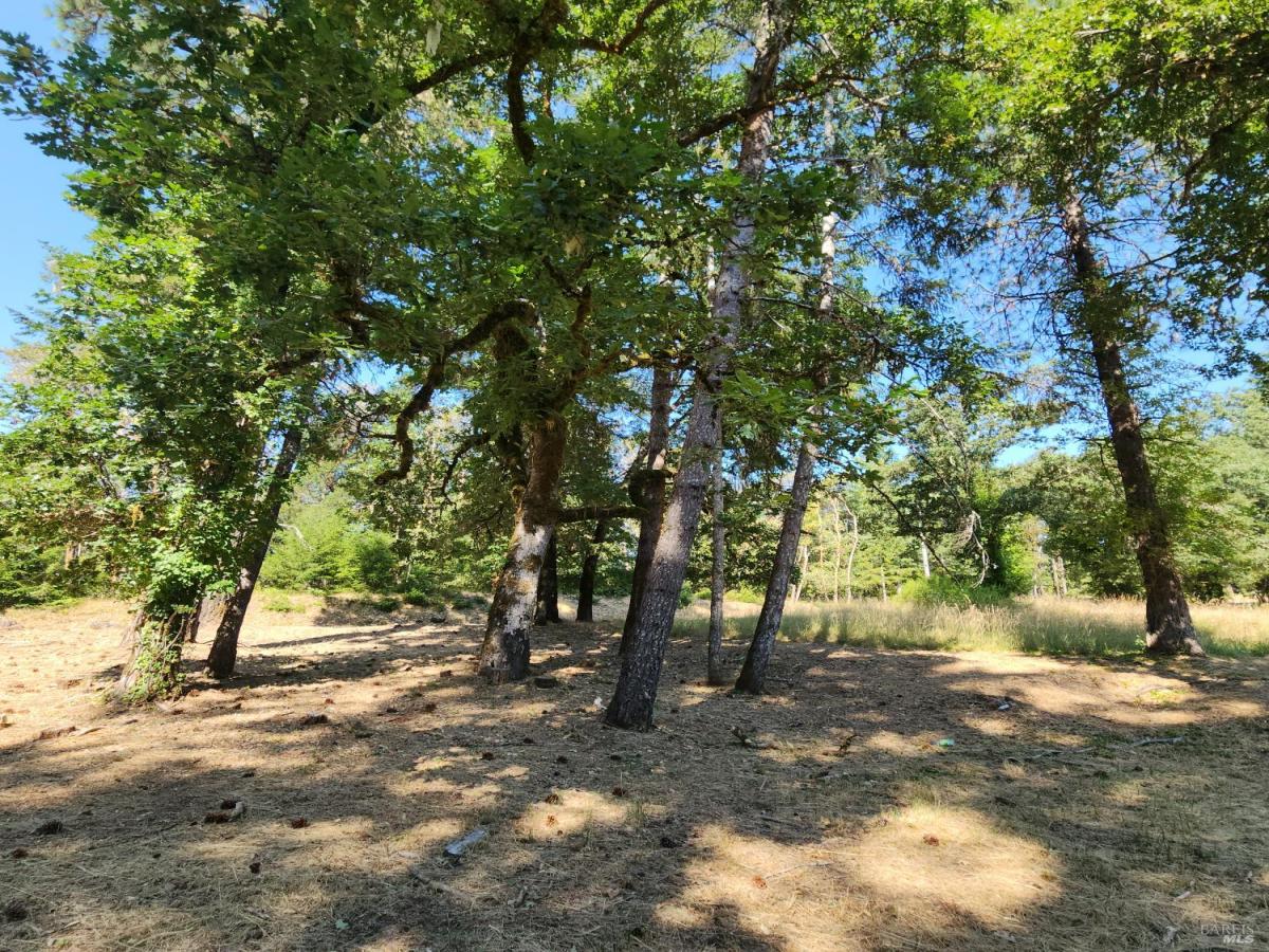 MLS #325064995 image #0