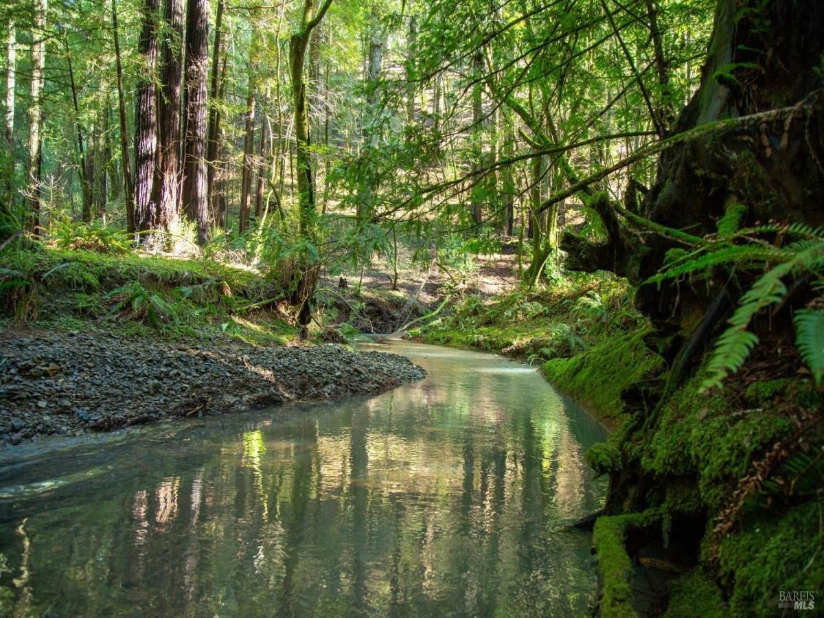 MLS #325066360 image #0