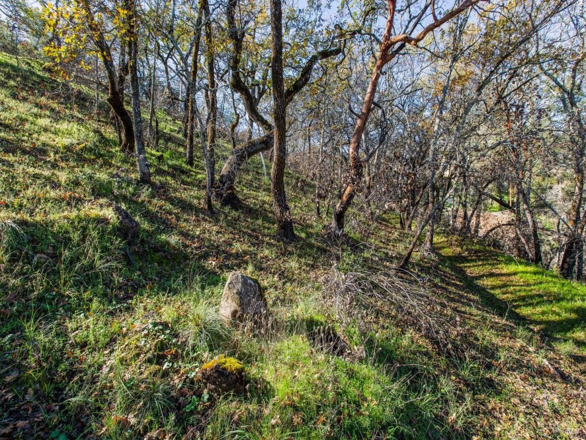 MLS #325067662 image #0