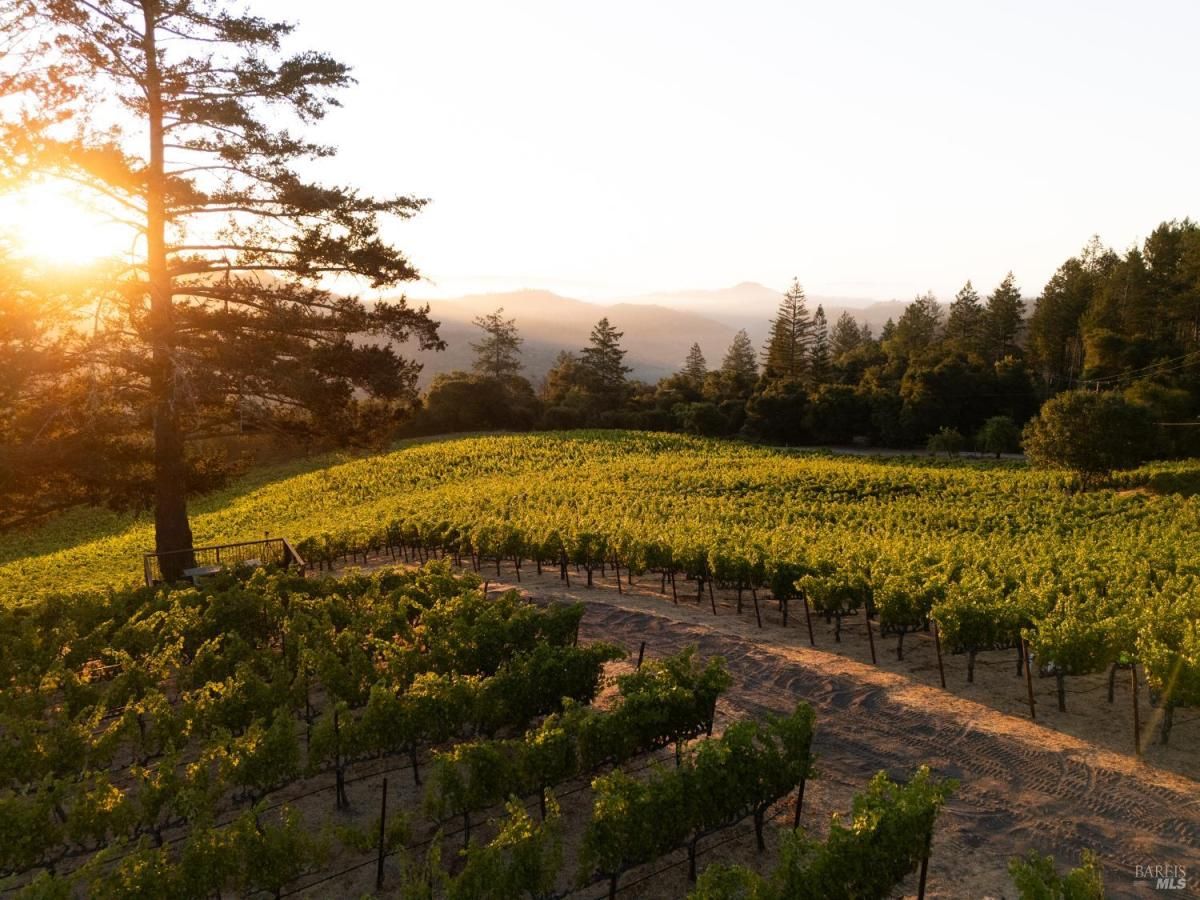 MLS #325072707 image #0