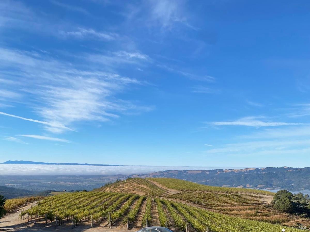 MLS #325075736 image #0