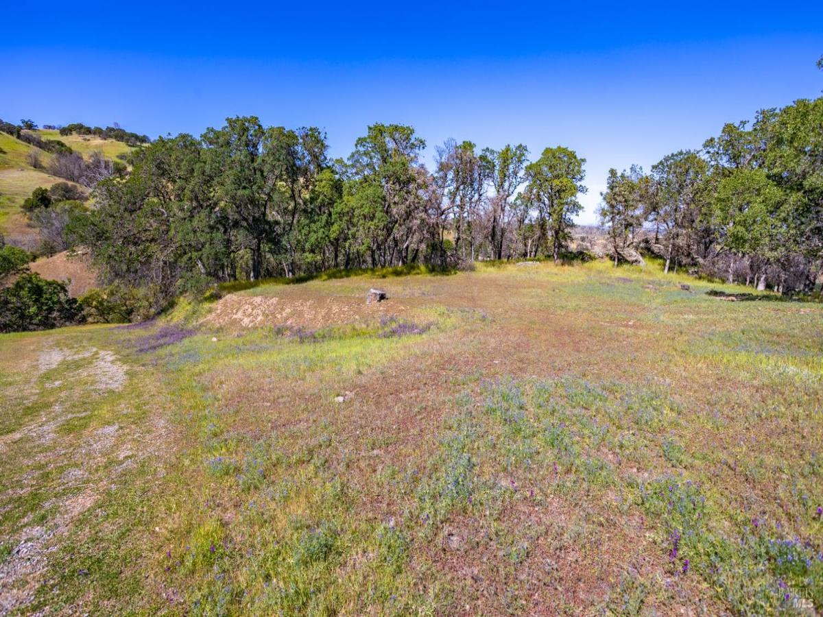 MLS #325080756 image #0