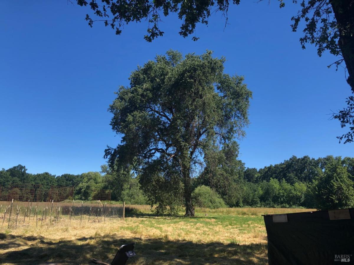 MLS #325104640 image #0